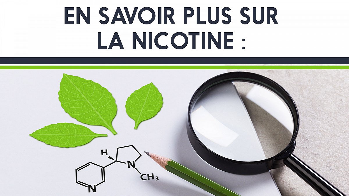 En savoir plus sur la nicotine