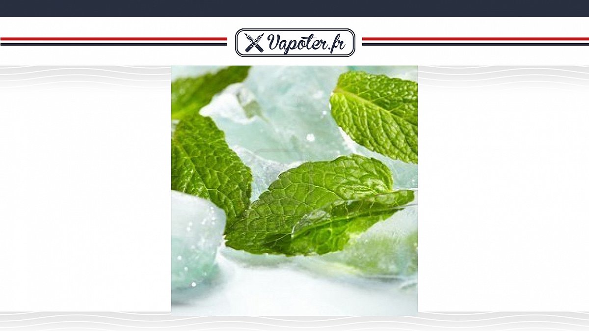 Le Top 10 Vapoter.fr des liquides mentholés !