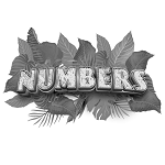 Numbers