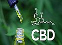 Qu'est-ce que le CBD ?