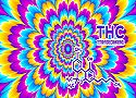 Qu'est-ce que le THC ?