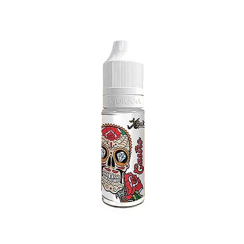 Castro Liquideo Xbud 10ml
