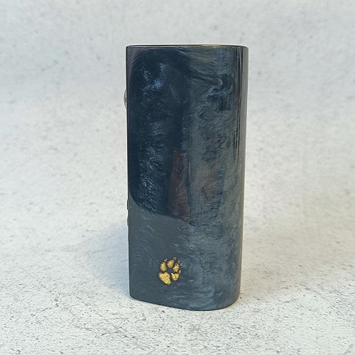 Box Stabwood DNA250C 5 Vapesmarter