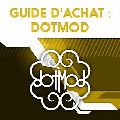 Guide d'achat : Dotmod