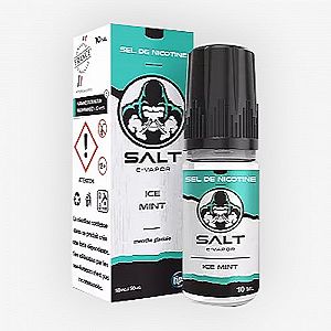 Ice Mint Salt E Vapor 10ml
