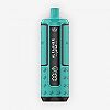 Puff 30k Hyper Max Advanced Al Fakher Mint